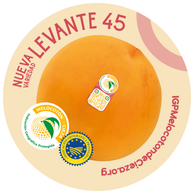 Nuevas variedades IGP_Mesa de trabajo 1 copia